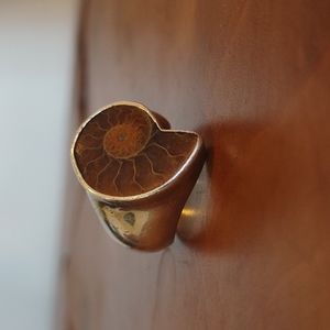 Ammonite ring